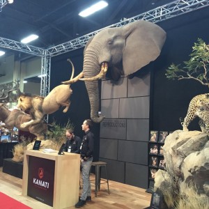 Elephant taxidermy mount