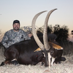 Archery Sable with Limcroma Safaris