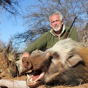 bushpig at tallyho