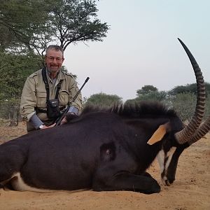 Sable Bull