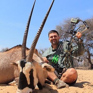 2016 Gemsbok bull