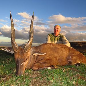 Cape Bushbuck