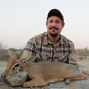 Damara Dik-Dik Leopard Legend Safaris