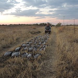 A GREAT EVENING SHOOT