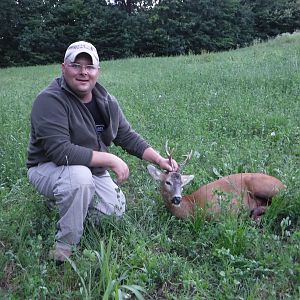 Romanian Roe Buck