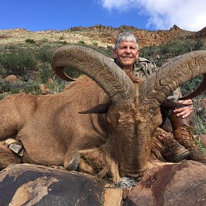 Barbary Sheep Hunt