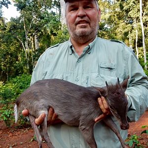 Blue Duiker hunt in the Congo with Christophe Morio