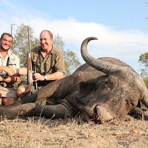 Buffalo Cow Hunting with Pro Hunting Safaris