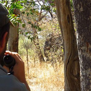 Ndumo Safaris 2016 highlights