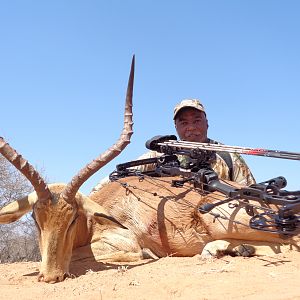 My 1st Impala Ram in  Limpopo