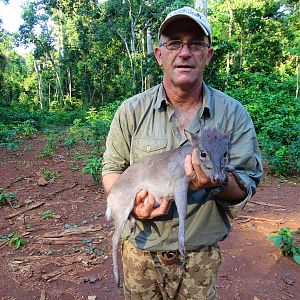 Blue Duiker hunted in Congo