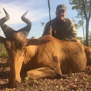 Gert Lichtenstein Hartebeest