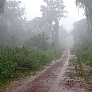 Hunting in Congo