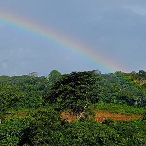 Nature Congo