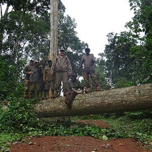 Hunting in Congo