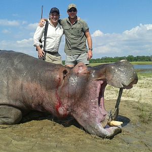 Hippo Zimbabwe Hunt