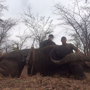 Buffalo Hunting in Zimbabwe