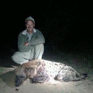 Zimbabwe Hunting Hyena