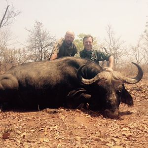 Buffalo Hunt Zimbabwe