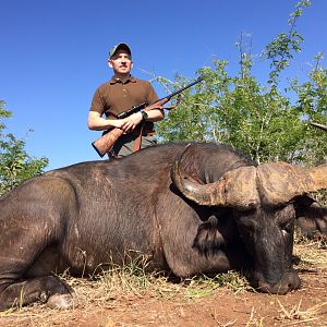 Buffalo Hunt Zimbabwe