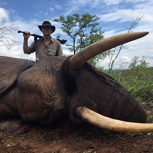 Elephant Hunting in Zimbabwe