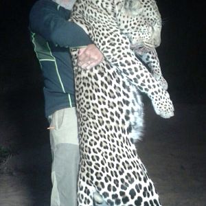 Zimbabwe Leopard Hunt