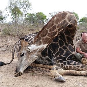 Hunting Giraffe in Zimbabwe