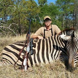 Zebra Hunting Zimbabwe