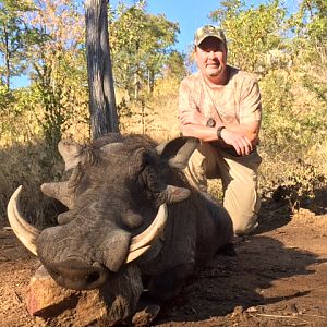 Hunting Warthog Zimbabwe