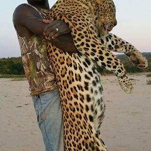 Zimbabawe Leopard Hunt