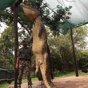 Crocodile Hunt Zimbabwe