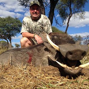 Hunting Warthog Zimbabwe