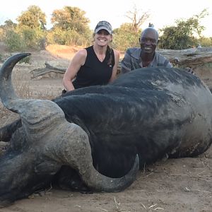 Buffalo Hunt Zimbabwe