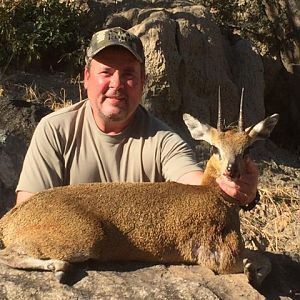 Klipspringer Zimbabwe Hunt