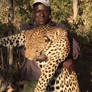 Zimbabwe Leopard Hunt