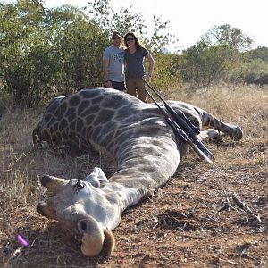 Hunting Giraffe in Zimbabwe