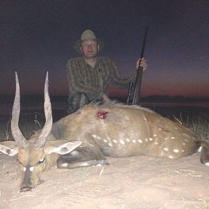 Hunting Bushbuck Zimbabwe