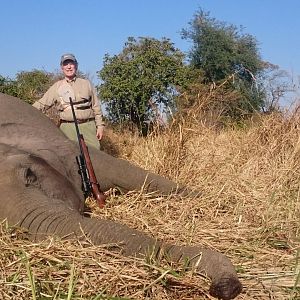 Tuskless Elephant Hunt Zimbabwe