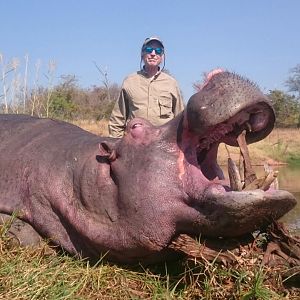 Hunting Hippo Zimbabwe