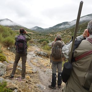 Gredos Ibex Hunt in Spain