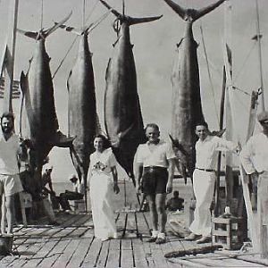 Marlin Fishing