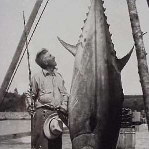 Fishing Tuna