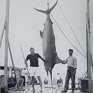 Marlin Fishing