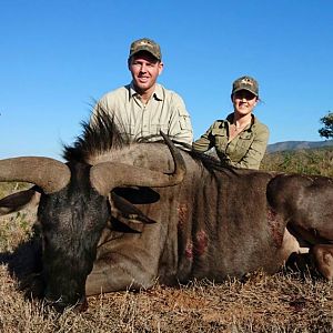 Blue Wildebeest Hunt South Africa