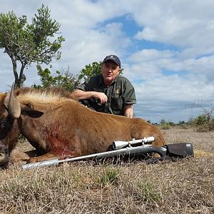 Black Wildebeest Hunt South Africa