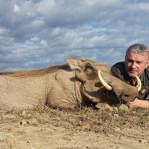 Warthog Hunting South Africa