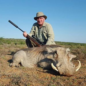 Warthog Hunting South Africa