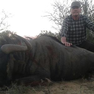 Blue Wildebeest Hunt South Africa