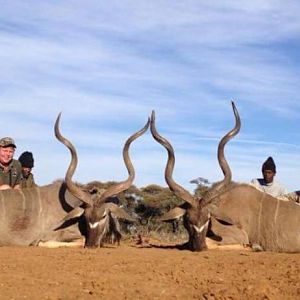 Kudu Hunt South Africa