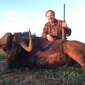 Black Wildebeest Hunt South Africa